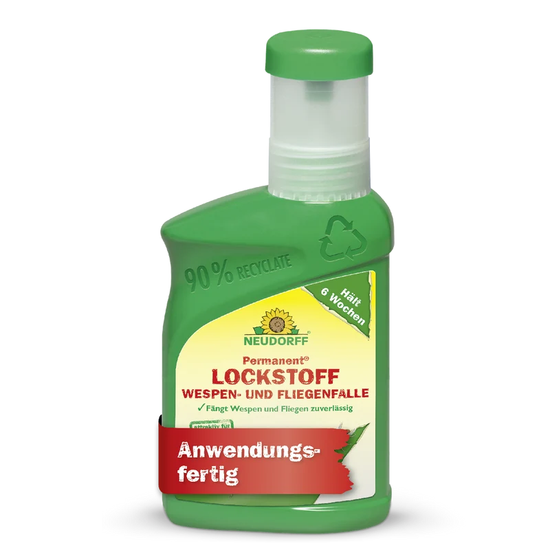 Permanent Lockstoff Wespen- und Fliegenfalle