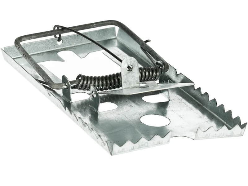 Klassische Rattenfalle aus Metall