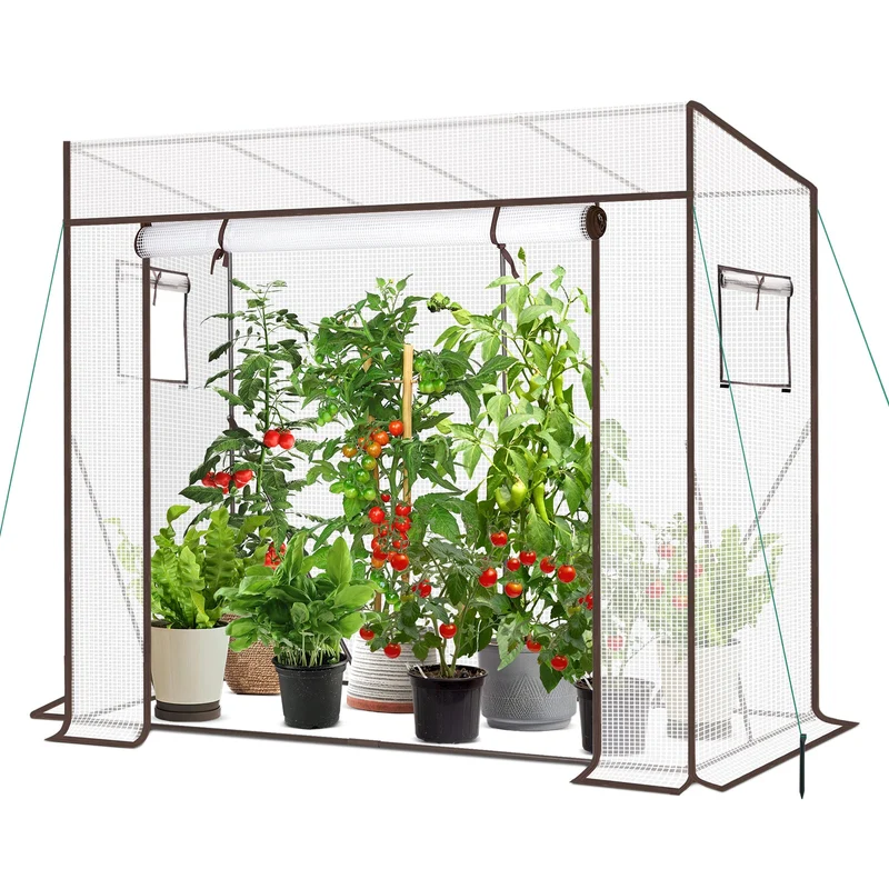 Sekey Tomatengewächshaus Tamara XL Folien-Gewächszelt mit aufrollbarer Tür, stabiler Rahmen 200 x 77 x 146/170 cm