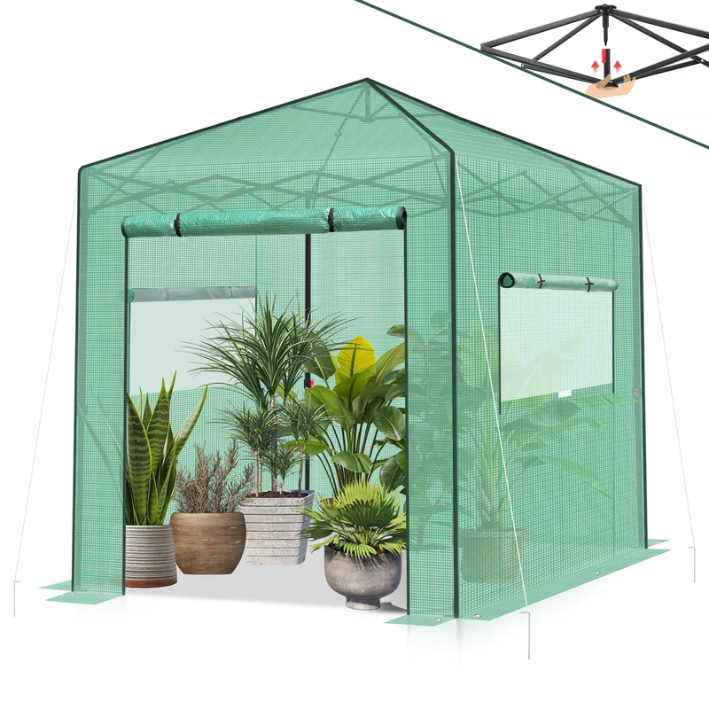Sekey Pop-Up Foliengewächshaus 240×240×180 cm Großes Gewächshaus mit One-Touch-System für schnellen Aufbau im Garten