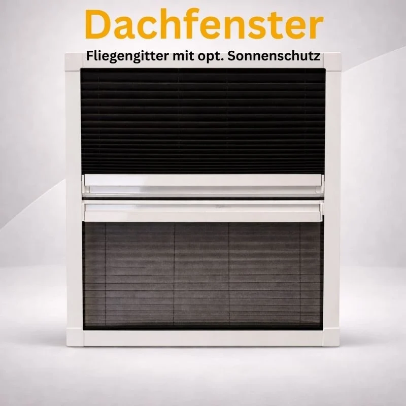 B2B / Dachfenster
