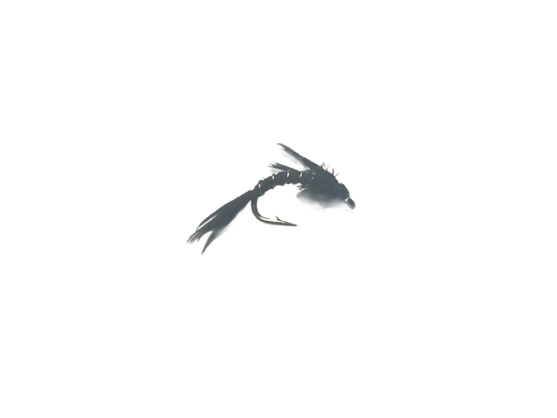 Catch's Flashback Quill, Black